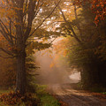 Serenity of Fall